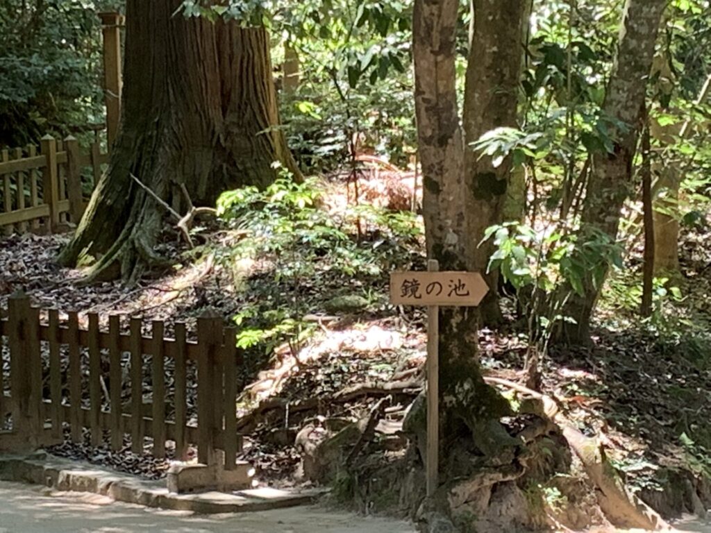 八重垣神社にある鏡の池