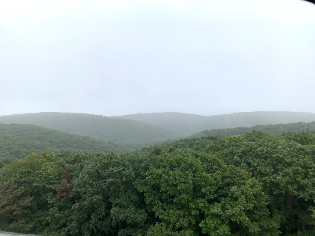 雨の日の湿原展望台からの眺め