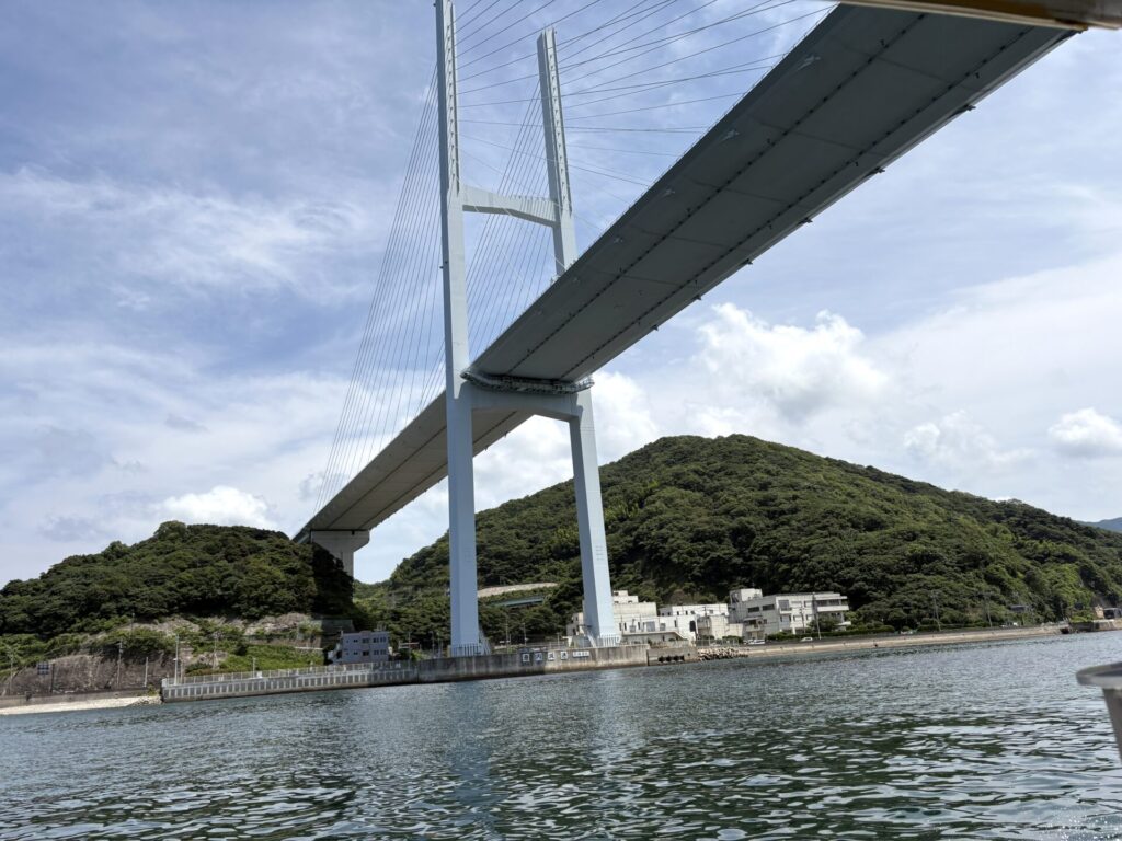 橋下から見た女神大橋。