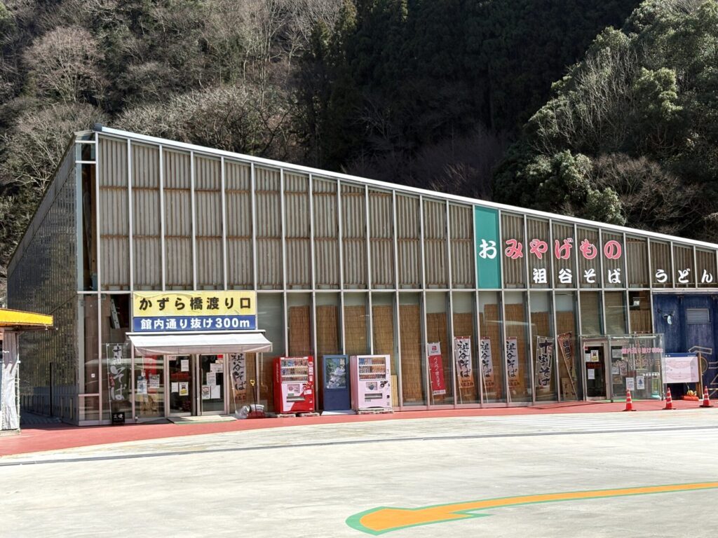 「かずら橋夢舞台」の写真