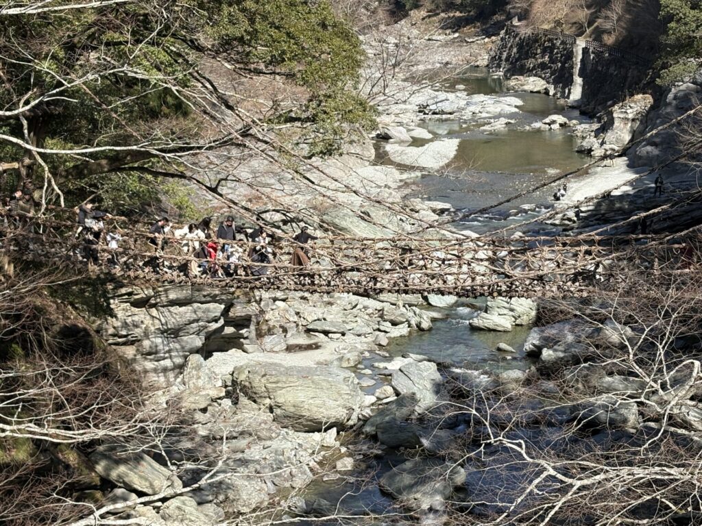 2026年2月「祖谷渓大橋」から「かずら橋」を眺める写真