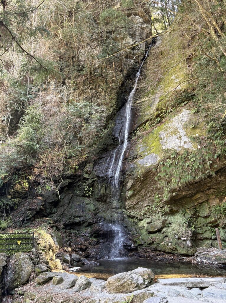 「琵琶の滝」2026年2月の写真