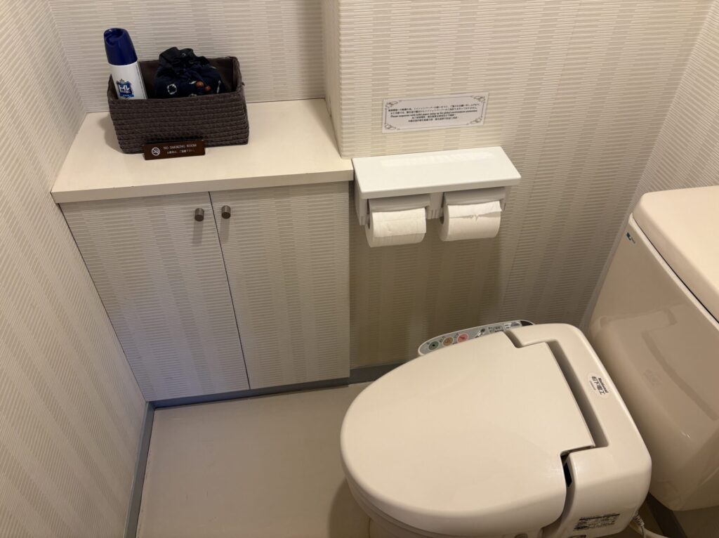 大歩危峡まんなかの和室10畳のトイレ