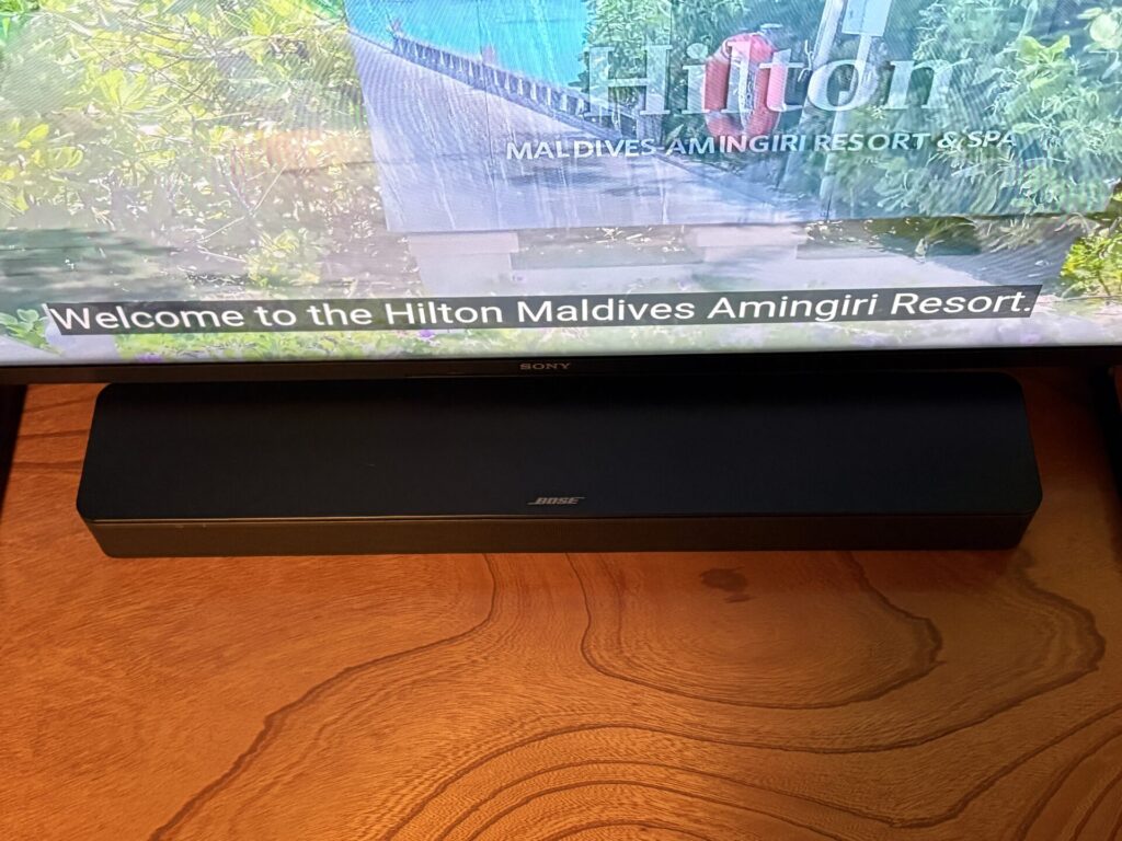 大歩危峡まんなかの和室10畳のサウンドバー